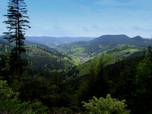 Schwarzwald Tyskland